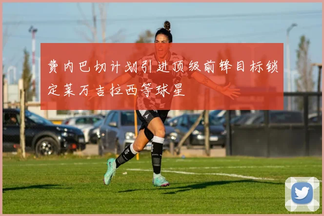 费内巴切计划引进顶级前锋目标锁定莱万吉拉西等球星