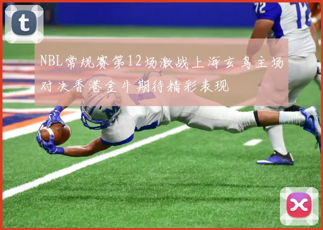 NBL常规赛第12场激战上海玄鸟主场对决香港金牛期待精彩表现